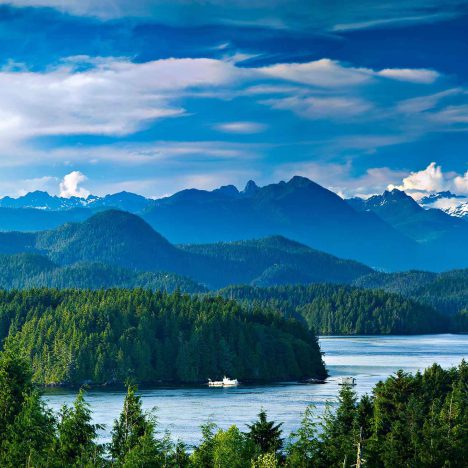 WHISTLER, come il fischio delle marmotte